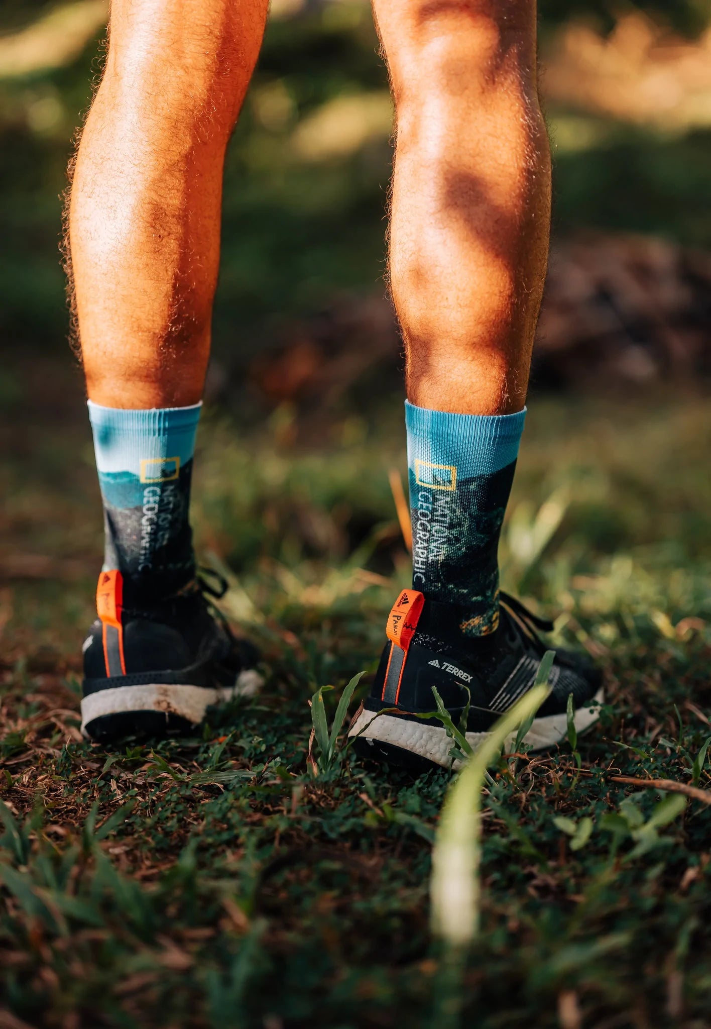 Chaussettes Running / Trail Homme Stance Poppy Trails